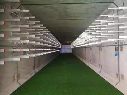 ���}���оC�Ϲ���