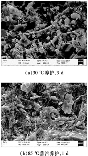 ��ͬ�B(y��ng)�o�ƶȵĻ�������(n��i)��΢�^�Y(ji��)��(g��u)��������@΢�R�D��